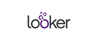 looker icon