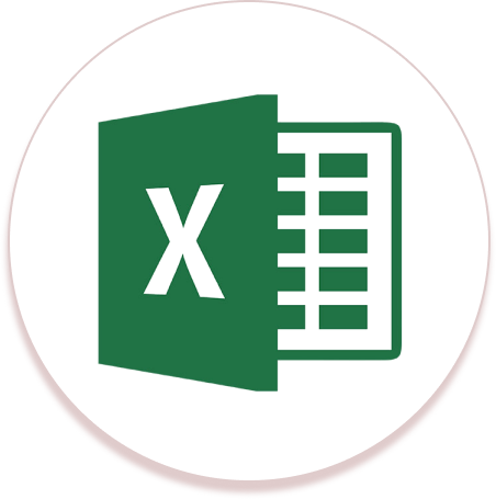 Excel icon