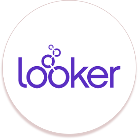 looker icon